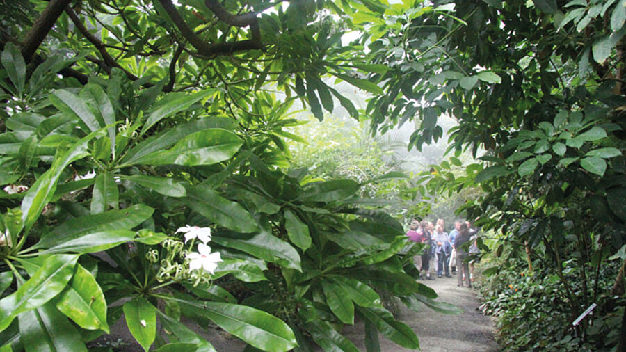 Lebensart Geniessen Okologisch Botanischer Garten